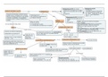 Mapa conceptual: Espacios Vectoriales