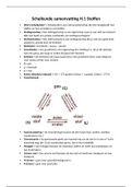 Chemie overal Scheikunde - H.1 Stoffen - 3 vwo 