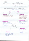 Statistics 186 FIRST YEAR detailed chapter summaries (FULL YEAR)