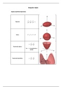 Integrales triples