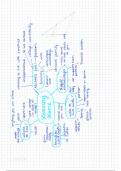 leaving home mindmap