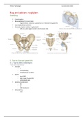 MSK3- Pathologie - Somville 