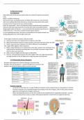 OCR A Level Biology A* Neuronal Communication Detailed Notes