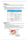 OCR A Level Biology A* Excretion Detailed Notes