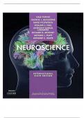 Neuroscience international 6th edition purves test bank