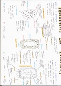 AQA GCSE Biology - eukaryotic cells vs. prokaryotic cells notes