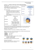 Medical Embryology (NWI-BB047C) colleges