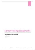 Samenvatting Jeugdrecht begrepen 