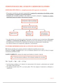 Fisiopatología del aparato cardiocirculatorio TODO