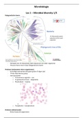 BM6 Microbiologie - biologie en medisch laboratoriumonderzoek 