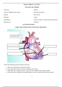 NR 302 CARDIAC ACTIVITY Chamberlain College