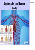 Presentation Life Sciences (Biology)-Gaseous exchange