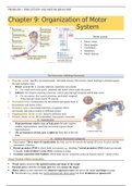 Block 3.6. Neuropsychology (Clinical Specialization): Problem 1 Perception and Motion, English Summary