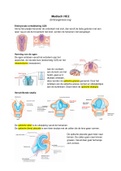 Optometrie Medisch Blok B HC2 - Embryogenese oog