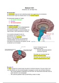 Optometrie Medisch Blok B HC5 - Anatomie van de Nabij Trias