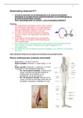 Samenvatting Anatomie Blok 1 (leerjaar 2 fysiotherapie HAN)