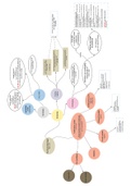 Stappenplan/schema/samenvatting aansprakelijkheidsrecht leerstuk collectieve actie en verjaring