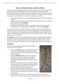 Polypeptide synthesis - transcription and splicing