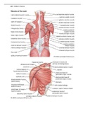 Rasmussen College - ANATOMY BSC 2346 API Midterm Study Guide