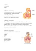 Respiration with diagrams