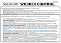 SOCIALSIM WORKER CONTROL TENET EDEXCEL A LEVEL POLITICS