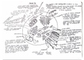 animal cell labelled diagram