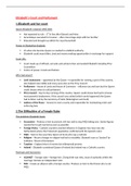 GCSE AQA History Elizabeth Notes