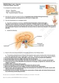 Exam (elaborations) BIOS252 Week 7 Lab: Endocrine System and Blood Glucose Regulation 