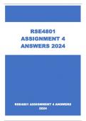 RSE4801 ASSIGNMENT 4 ANSWERS  2024