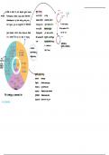 PCR and cloning notes