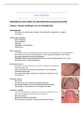 Uitgebreide duidelijke samenvatting Orale pathologie & kaakchirurgie