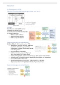 Ätiologie von PTBS