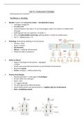 Samenvatting Cel IV/4 : partim moleculaire biologie