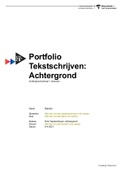 M12 Tekstschrijven: Achtergrond - Creative Business - Portfolio (Cijfer 7.8)