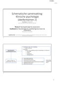 Bundel met Schematische samenvatting en Begrippenlijst bij het boek: Klinische psychologie theorieën en psychopathologie van Henk T. van der Molen, Ellin Simon, Jacques van Lankveld (red.), derde druk voor deeltentamen 2