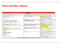 Blueprints_Primary_Care.pdf