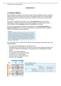 Economie 4/5HAVO samenwerken en onderhandelen H1&2 samenvatting