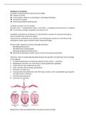 ABCDE voor verpleegkundigen Asaf Gafni & Eveline Heesterbeek samenvatting hoofdstuk 4 C (Circulation)