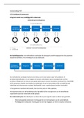 Samenvatting Methoden & Technieken 