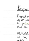 Respiration Topic Summary - A2 OCR Biology