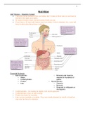 NUR 3130: Nutrition E3. Study Guide. A+ Graded