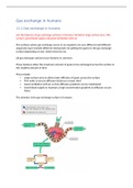 Summary notes for CIE IGCSE Biology Topic 11: Gas exchange in humans