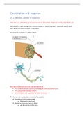 Summary notes for CIE IGCSE Biology Topic 14: Coordination and response 