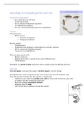 Developmental BIOLOGY & GENETICS - Lectures part 2 (B-B3OBG05)