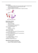 Exam (elaborations) NR 324 MODULE 2 RESPIRATORY PRESENTATION EXAM 1 