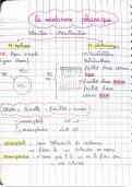 plasma membrane notes 