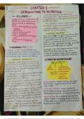 Nursing notes