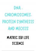 DNA , CHROMOSOMES, PROTEIN SYNTHESIS AND MEOSIS IEB 2024