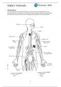 BTEC Applied Science: Unit 8 Learning Aim B (Lymphatic System)