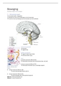 Samenvatting Beweging, Zenuwstelsel en Lokale Anesthesie (B1Ba3t)